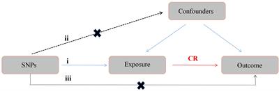 The causal relationship between obesity and skin and soft tissue infections: A two-sample Mendelian randomization study